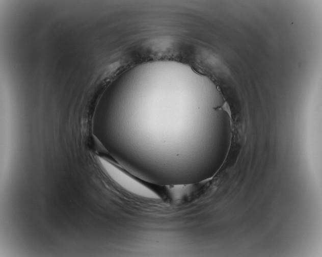 X0000086770756200704271750