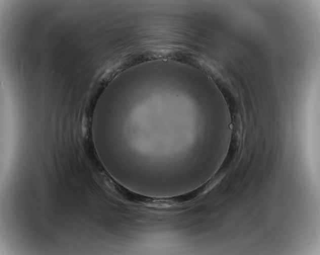 X0000086770758200704271750