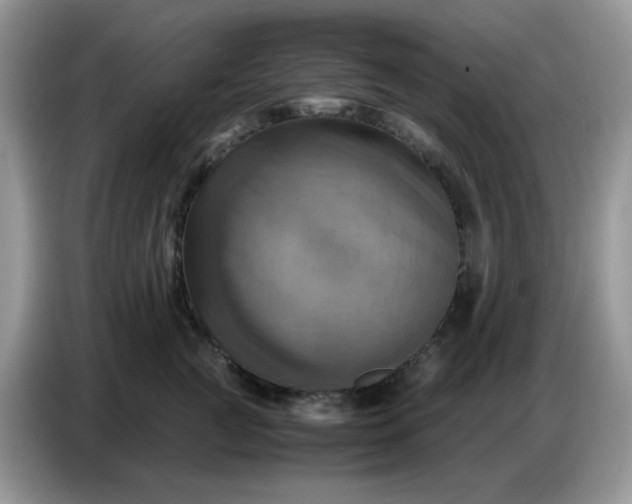 X0000086770761200704271750
