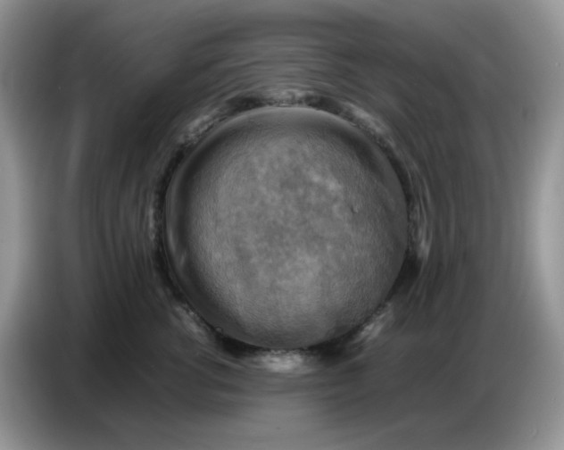 X0000086770762200704271750