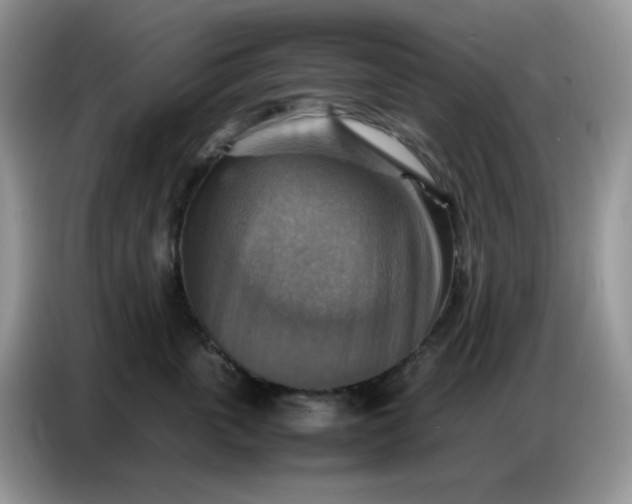 X0000086770763200704271750