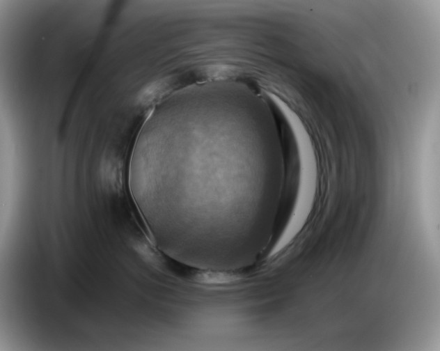X0000086770766200704271750