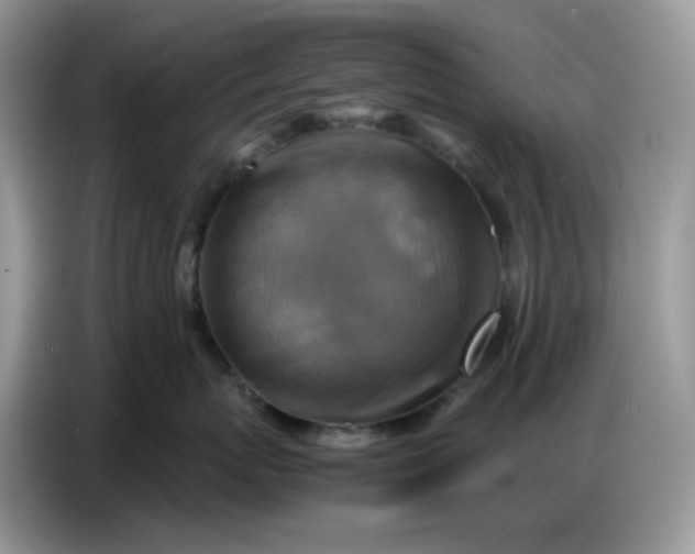 X0000086770767200704271750