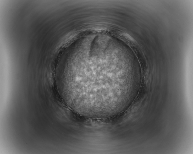 X0000086770774200704271749