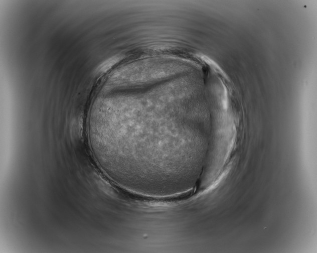 X0000086770777200704271749