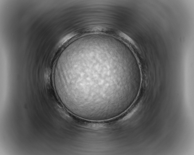 X0000086770778200704271749