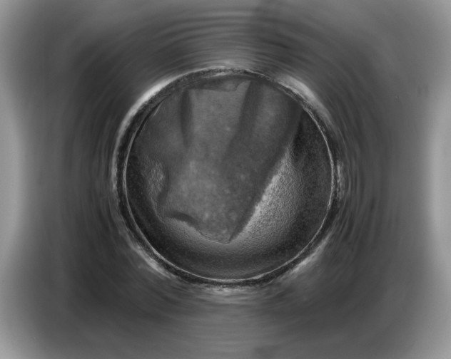 X0000086770780200704271749