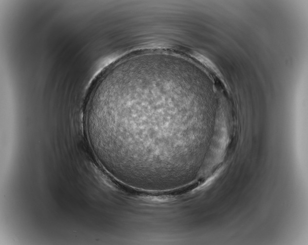 X0000086770781200704271749