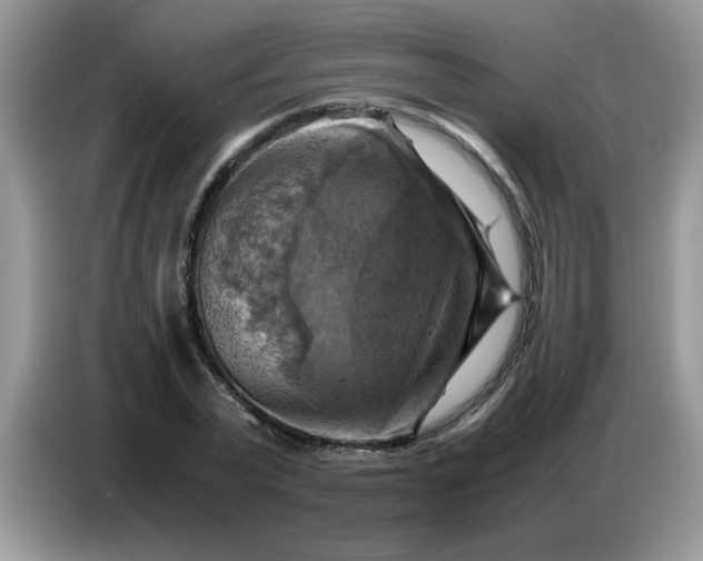 X0000086770783200704271749