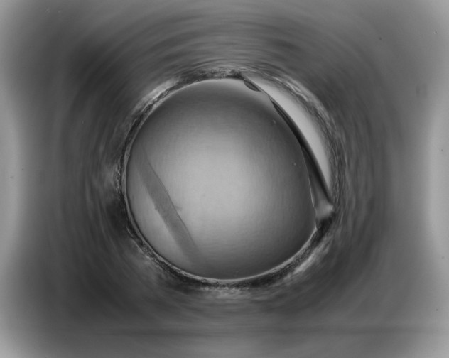 X0000086770785200704271749