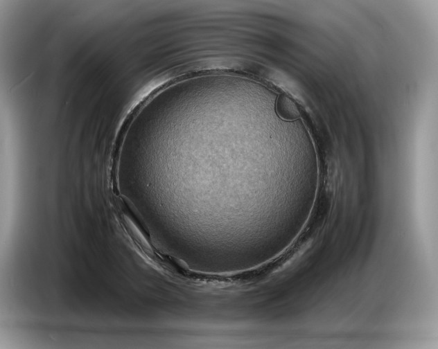 X0000086770786200704271749