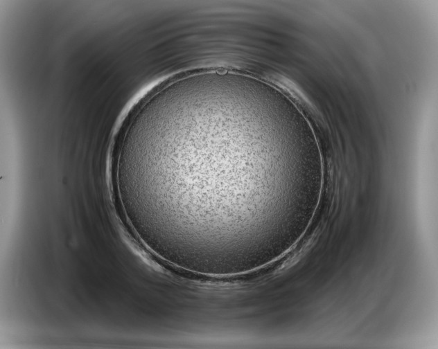 X0000086770788200704271749