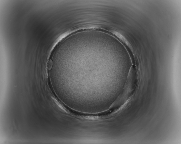 X0000086770789200704271749