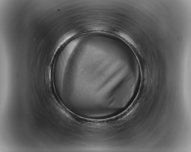 X0000086770790200704271749