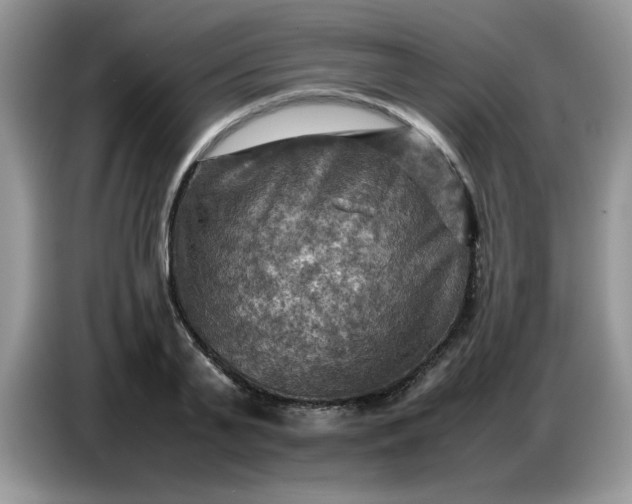 X0000086770791200704271749