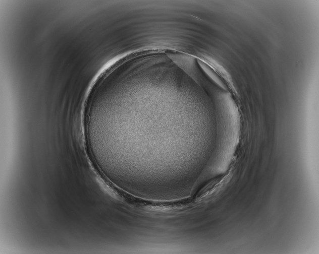 X0000086770792200704271749