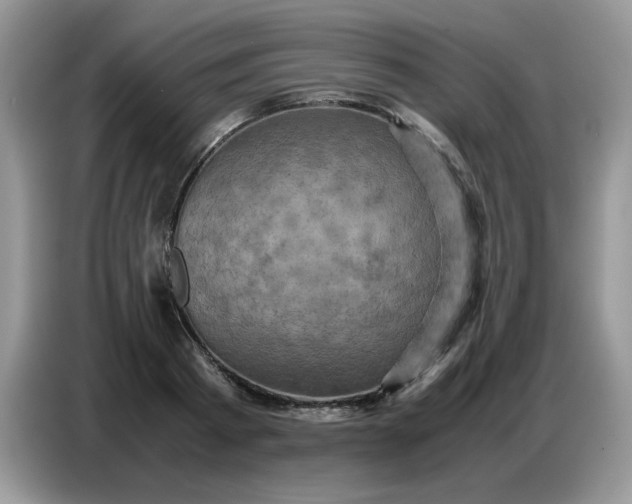 X0000086770793200704271749