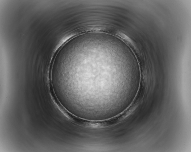 X0000086770794200704271749