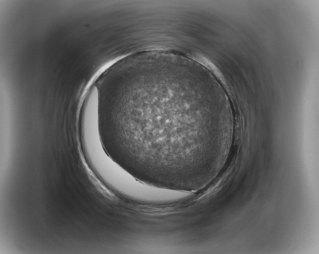 X0000086770795200704271749