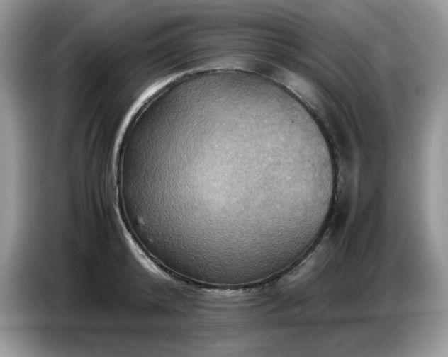 X0000086770800200704271749