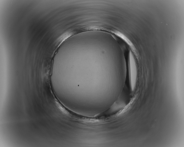 X0000086770801200704271749