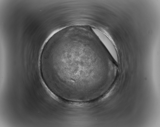 X0000086770803200704271749