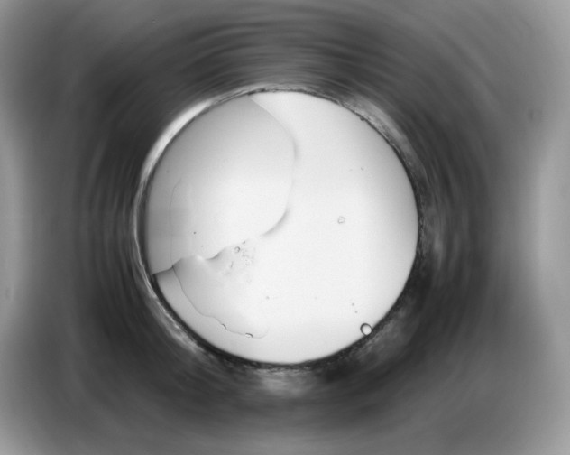 X0000086770804200704271749