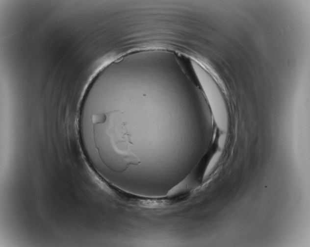 X0000086770805200704271749