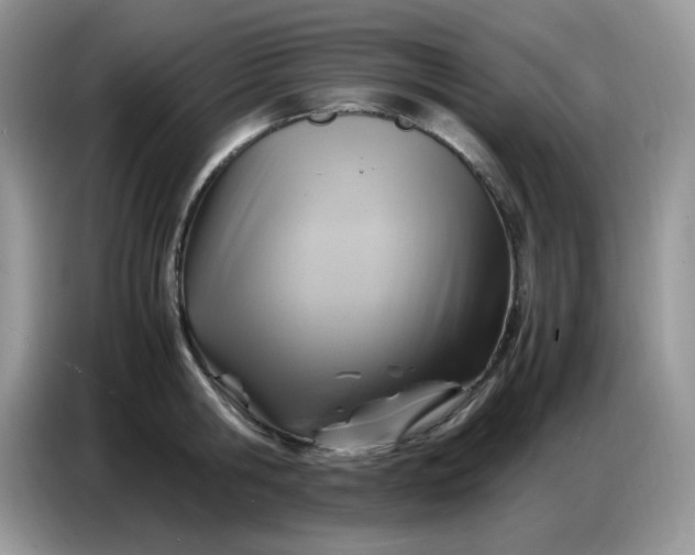 X0000086770806200704271749