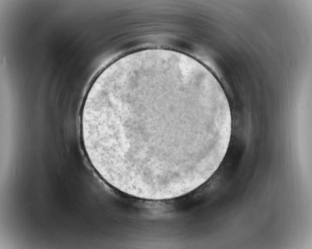 X0000086770807200704271749