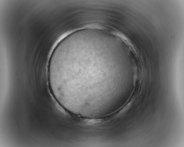 X0000086770808200704271749