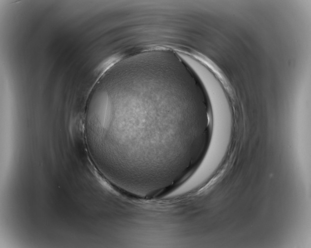 X0000086770809200704271749