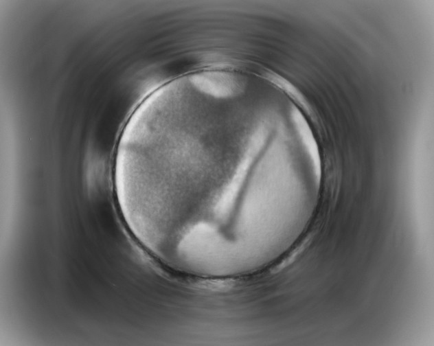 X0000086770810200704271749