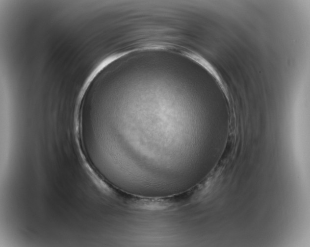 X0000086770811200704271749