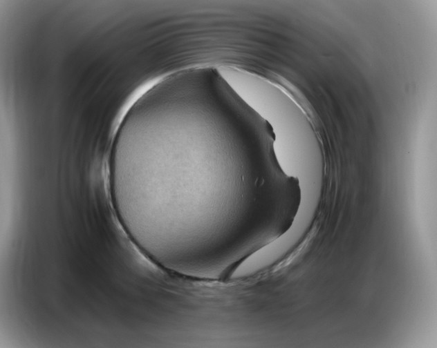X0000086770812200704271749