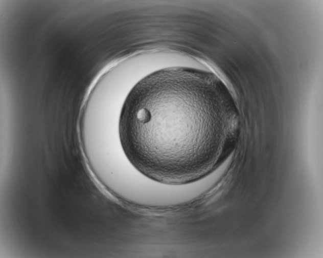 X0000086770813200704271749