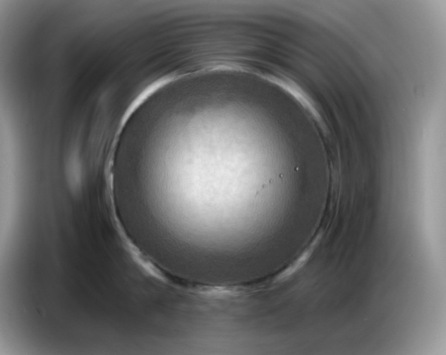 X0000086770814200704271749