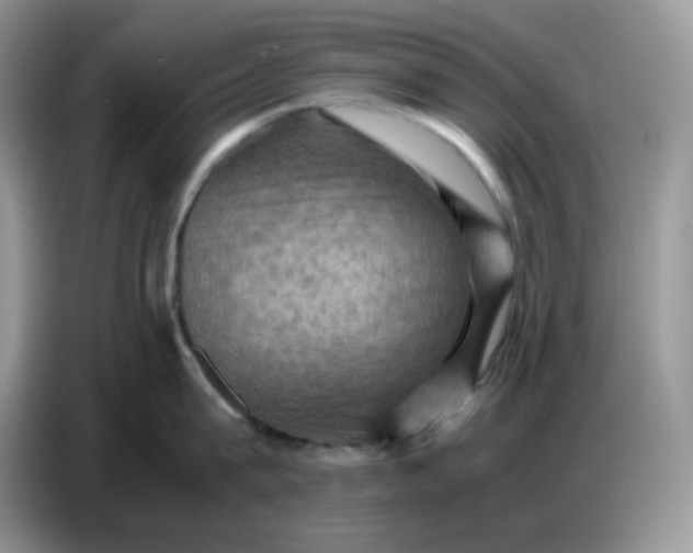 X0000086770815200704271749