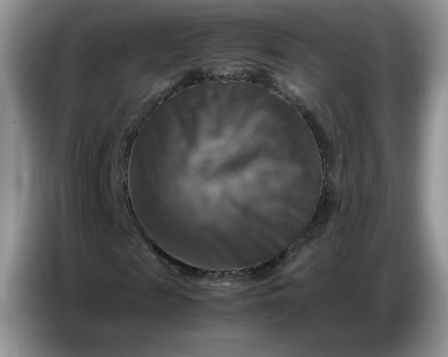 X0000086770817200704271748