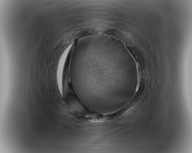 X0000086770818200704271748