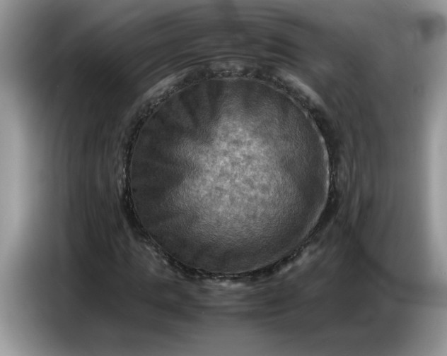 X0000086770821200704271748