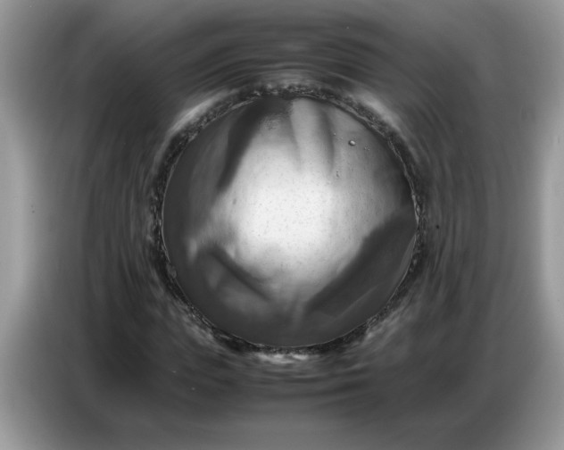 X0000086770823200704271748
