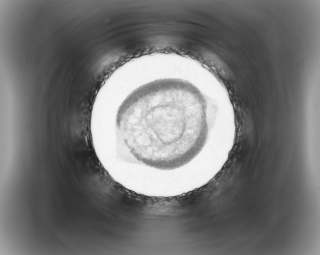 X0000086770824200704271748