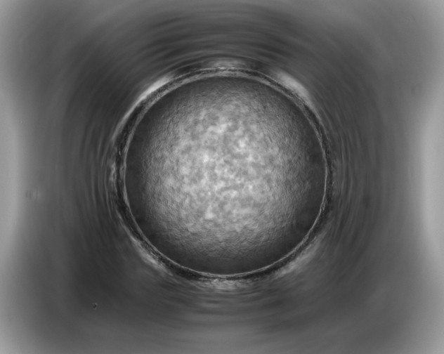 X0000086770827200704271748