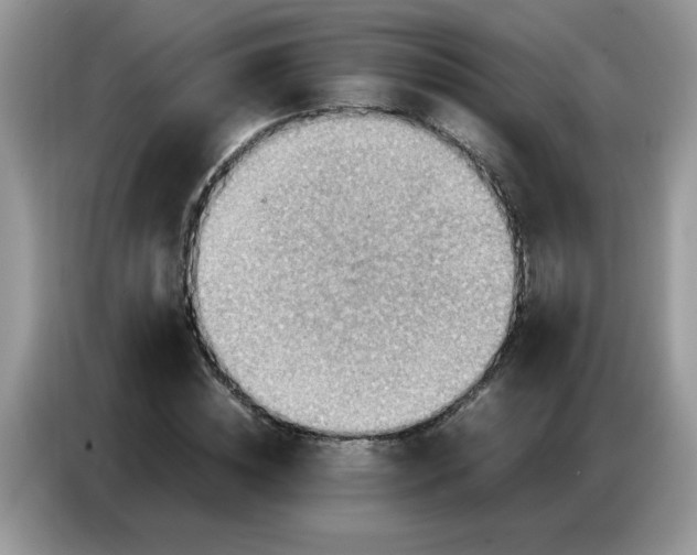 X0000086770828200704271748