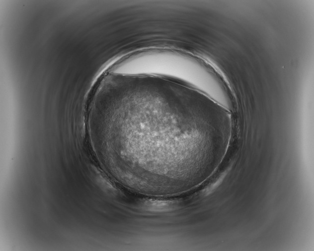 X0000086770829200704271748