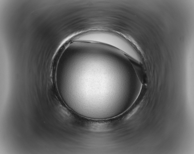 X0000086770830200704271748