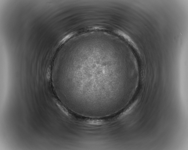 X0000086770833200704271748