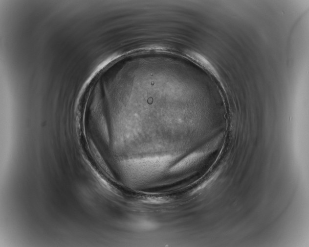 X0000086770835200704271748