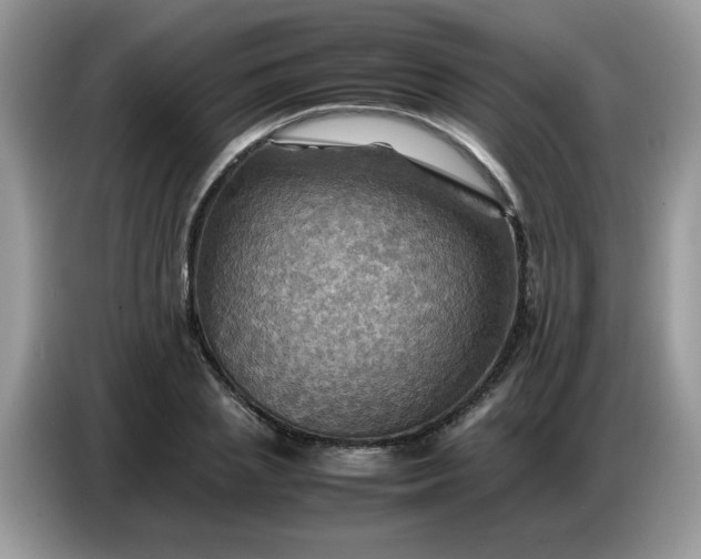 X0000086770837200704271748